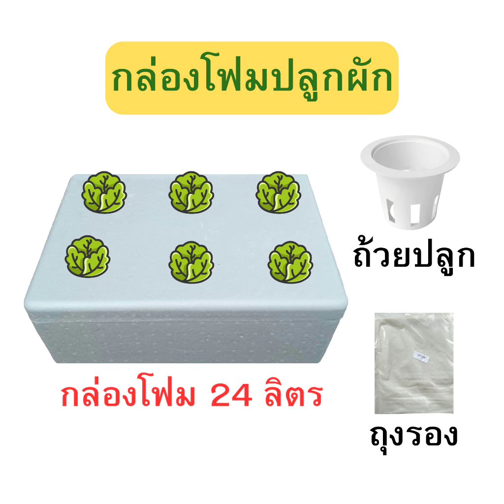 ลังโฟมปลูกผัก กล่องกุ้ง ขนาด 24 ลิตร ลังใหม่ มือ 1 ลังโฟมปลูกผักไฮโดรโปนิกส์