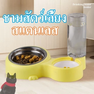 ชามดื่มแมวอัตโนมัติ ชามอาหารแมว ชามน้ำสำหรับสัตว์เลี้ยง ชามอาหารแมว ชามอาหารแมวขนาดใหญ่