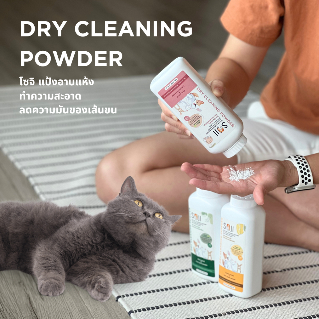 SOJI Dry cleaning powder แป้งอาบแห้ง สูตรสารสกัดธรรมชาติ ใช้ได้ทั้ง สุนัข แมว กระต่าย ลดความมันของเส้นขน 260 g