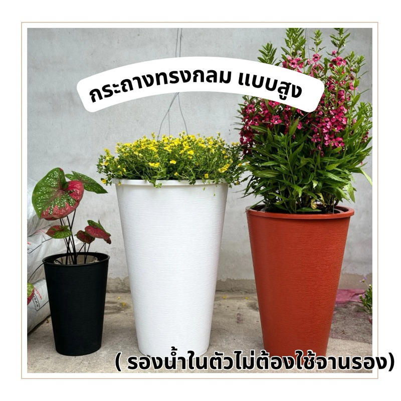 กระถางทรงสูง มินิมอล !!! สวย แข็งแรง!!ผิวเปลือกส้ม เป็นจานรองน้ำในตัว กระถางทรงโมเดิร์น