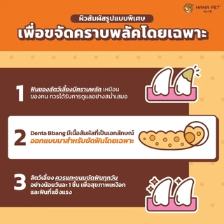 Hana Pet ขนมขัดฟันสุนัข Denta Bbang แทะสนุก ช่วยให้เหงือกและฟันแข็งแรง แทะได้นาน ช่วยลดกลิ่นปาก