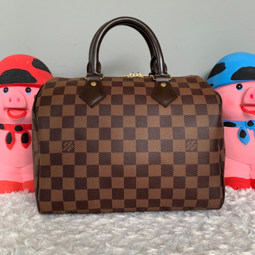 Louis Vuitton Damier Speedy 25