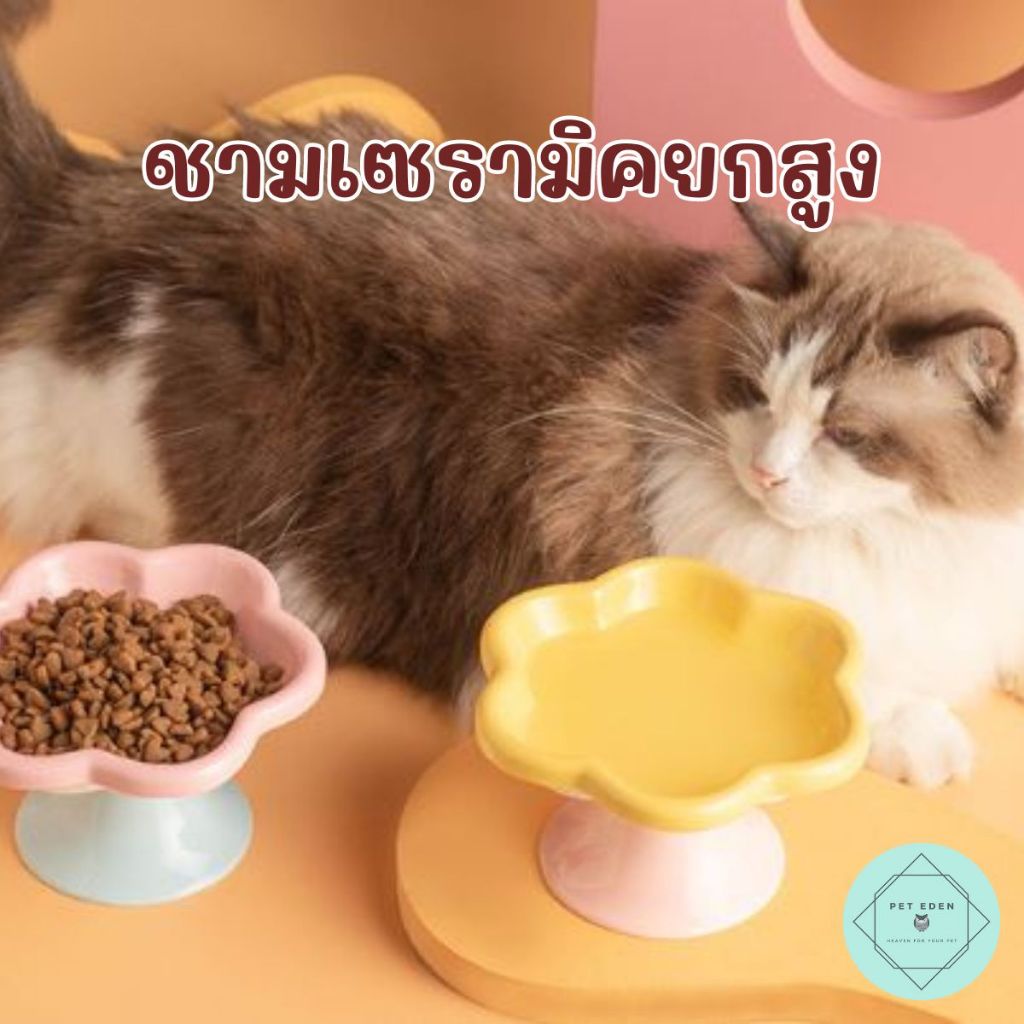 ชามเซรามิคยกสูงลายดอกไม้ จานอาหารแมว จานข้าวสัตว์เลี้ยง Bowl หมา สุนัขเล็ก