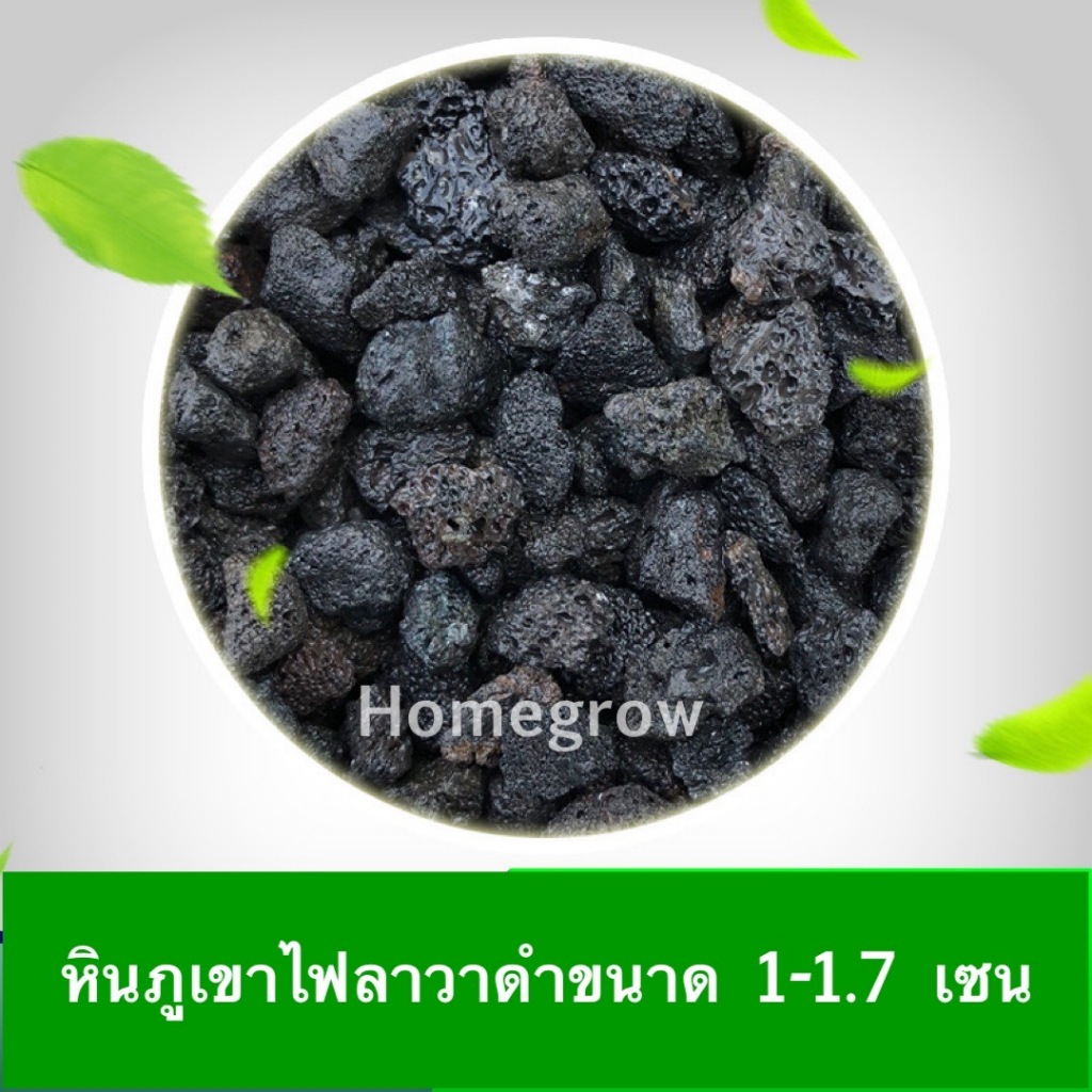 รูปภาพ 5