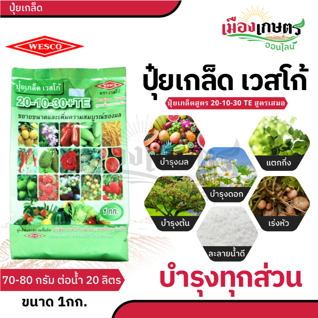 ปุ๋ย ปุ๋ยเกล็ด เวสโก้ ปุ๋ย เกล็ด 6 32 32 20 20 20 21 21 21 20 10 30 TE ขนาด 1 กิโลกรัม ฮอร์โมนพืช เสริมการเจริญเติบโต - รูปที่ 3
