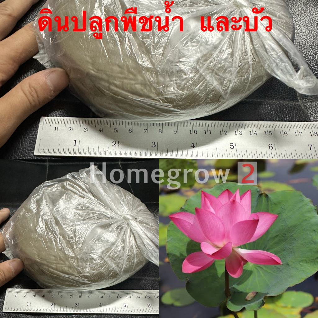 ดินปลูกบัว ดินบัว ดินไม้น้ำ ใหญ่มาก สุดคุ้ม