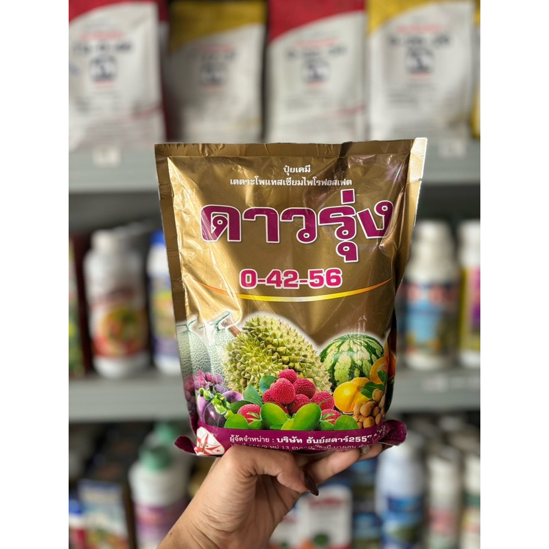 ดาวรุ่ง 0-42-56 🌈1 kg💥ปุ๋ยเกรดคุณภาพสูง ละลายน้ำง่าย ไม่มี ตกตะกอน หยุดใบอ่อนใบแก่ไว ต้นแข็งแรง พืชดูดซึมไว