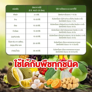 ❗ ส่งฟรี ❗ แมกม่าลาวา แมกม่า สารจับใบ ต้านเพลี้ยลดการหลุดร่วง + ปุ๋ยนำ้ลาวา เร่งฟื้นฟูต้น เพิ่มปริมาณผลผลิต