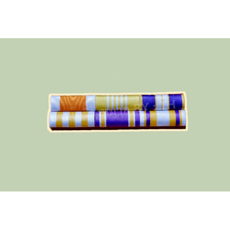 แพรแถบข้าราชการทั่วไป แบบใหม่ล่าสุด - รูปที่ 4