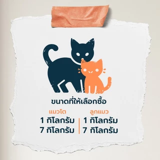 Buzz Beyond Cat 🐈 อาหารแมวบัซซ์ Premium Cat Food Gluten Free 7 กิโลกรัม