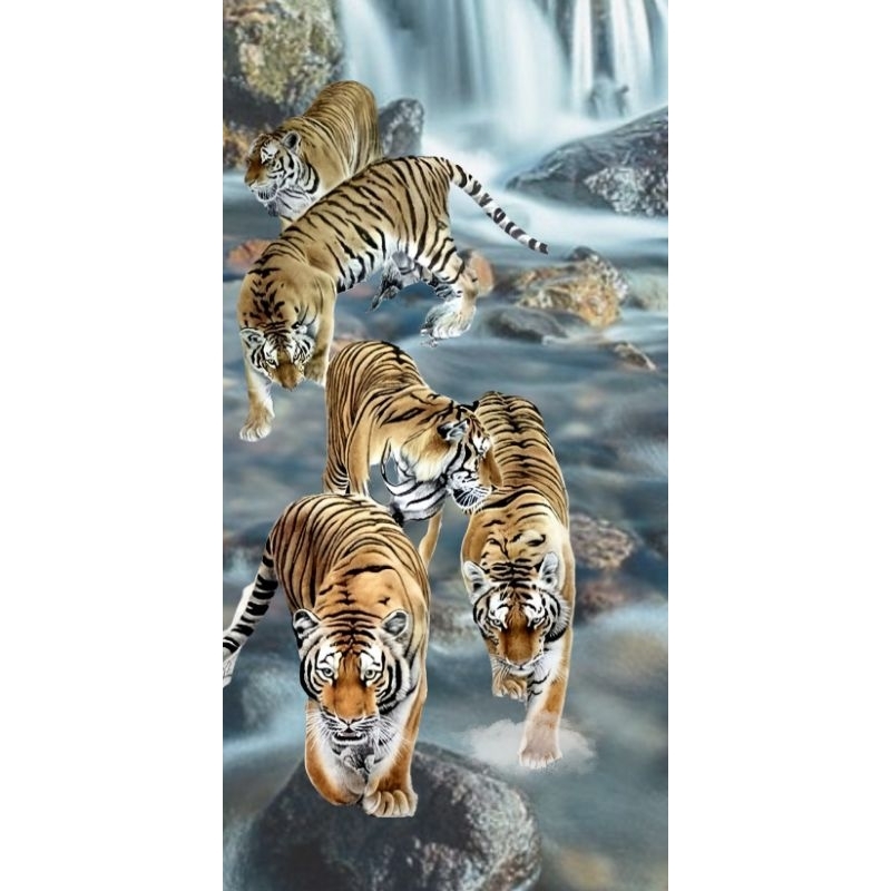 รูปโปสเตอร์ เสือ นำโชค ไม่มีกรอบ ขนาด 21*42 cm ติดผนัง ภาพมงคล เสริมฮวงจุ้ย ตกแต่งบ้าน