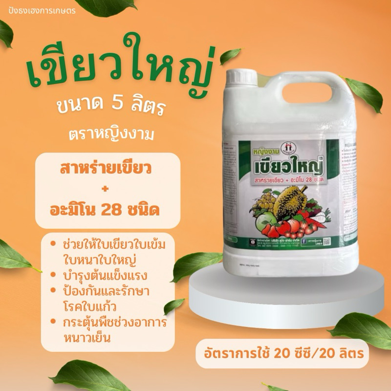 ดูโอเขียวใหญ่ 5 ลิตร สาหร่าย+อมิโน 28 ชนิด  เขียวใหญ่ ใบหนา