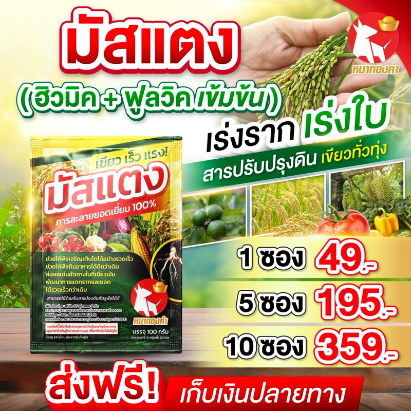 มัสแตง ของแท้100%( ฮิวมิค+ฟูลวิค เข้มข้น) ขนาด 100 กรัม อาหารเสริมพืช เร่งราก เร่งใบ