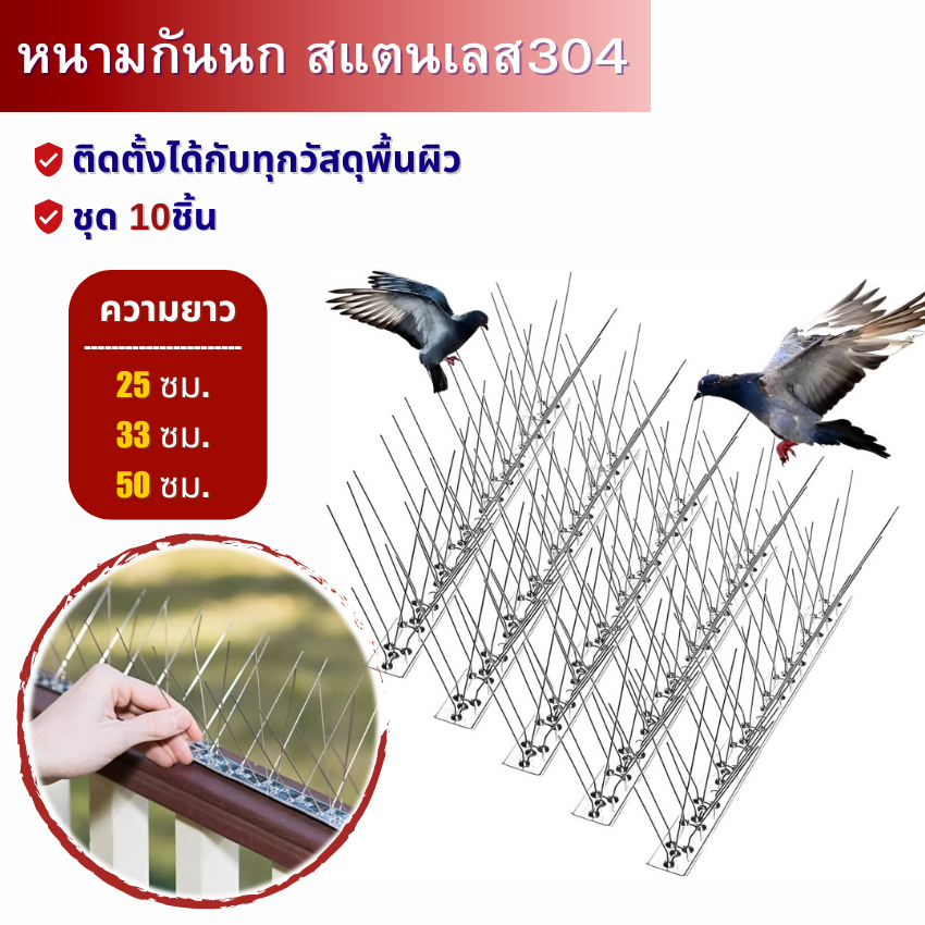 หนามไล่นก สแตนเลส304 / ตาข่ายดักนก ยาว25cm 30cm 50cm หนามที่กั้นไม่ให้แมวเข้ามา bird thorn หนามนก กันนกพิราบ