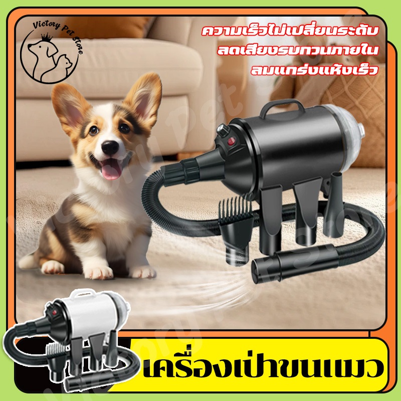 ไดร์เป่าขน ไดร์ไล่น้ำ เครื่องเป่าขนสัตว์เลี้ยงชุดสุนัข/แมว ไดร์เป่าขนแมว ระบบประจุไอออนลบ ระเบิด/ดูด