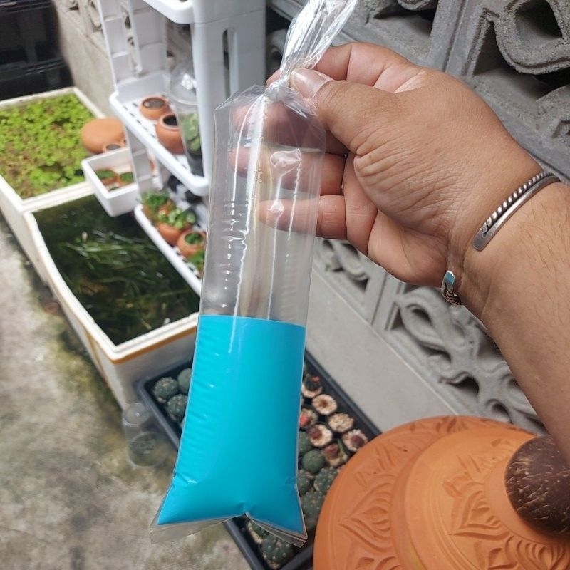 ถุงแพ็คปลากัด 3×12 นิ้ว สกรีนแถบ ถุงเหนียว ไม่หนา มัดง่าย ไม่เจ็บมือ แพ็ค 0.5 กก.