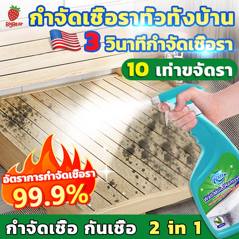ไม่ขึ้นรา 10 ปี สเปรย์กำจัดเชื้อรา 500ML อัตราการฆ่าเชื้อสูงถึง 99% ไม้ ผนัง บอกลากับผนังและเฟอร์นิเจอร์ที่เป็นเชื้อร