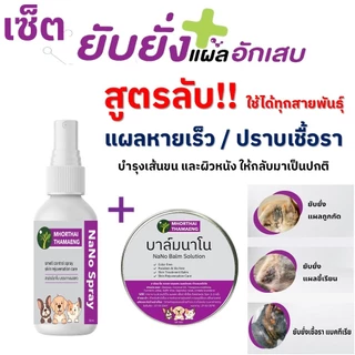 เซ็ตNano Care แผลแห้งไว สเปรย์พ่นแผล + บาล์ม สุนัข แมว แผลสด ฟื้นบำรุงผิวหนัง ไล่แมลง หมอไทยทำเอง