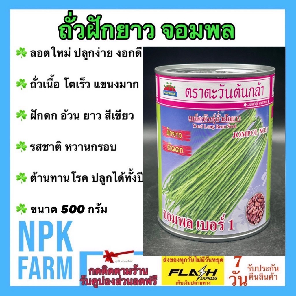 ตะวันต้นกล้า ถั่วฝักยาว จอมพล หมดอายุ09/2569 ขนาด 500 กรัม โตไว ถั่วเนื้อ ฝักสีเขียวอ่อน ติดฝักดก