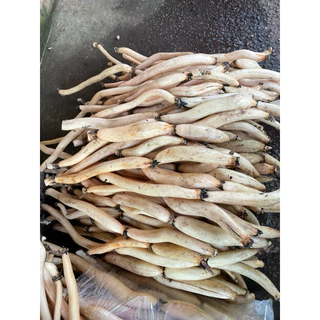 รากบัวไทยสด จากบึงบอระเพ็ด สด ใหม่