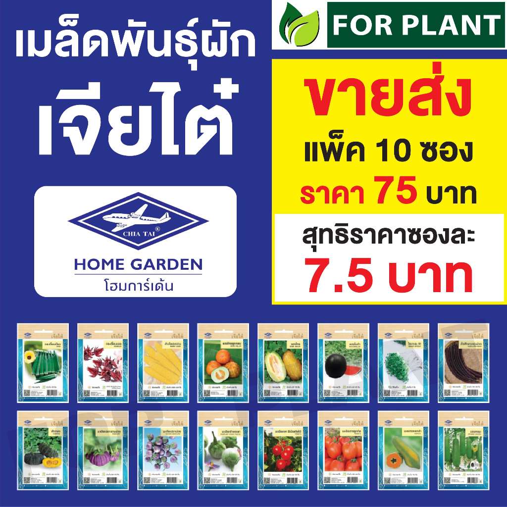 ขายส่ง เมล็ดพันธุ์ ผักซอง ยกแพค เจียไต๋ ราคาถูก บรรจุแพ็คละ 10 ซอง  CT15 {คละชนิดได้ กดใส่ตะกล้าไว้ก่อนยืนยันสั่งซื้้อ)