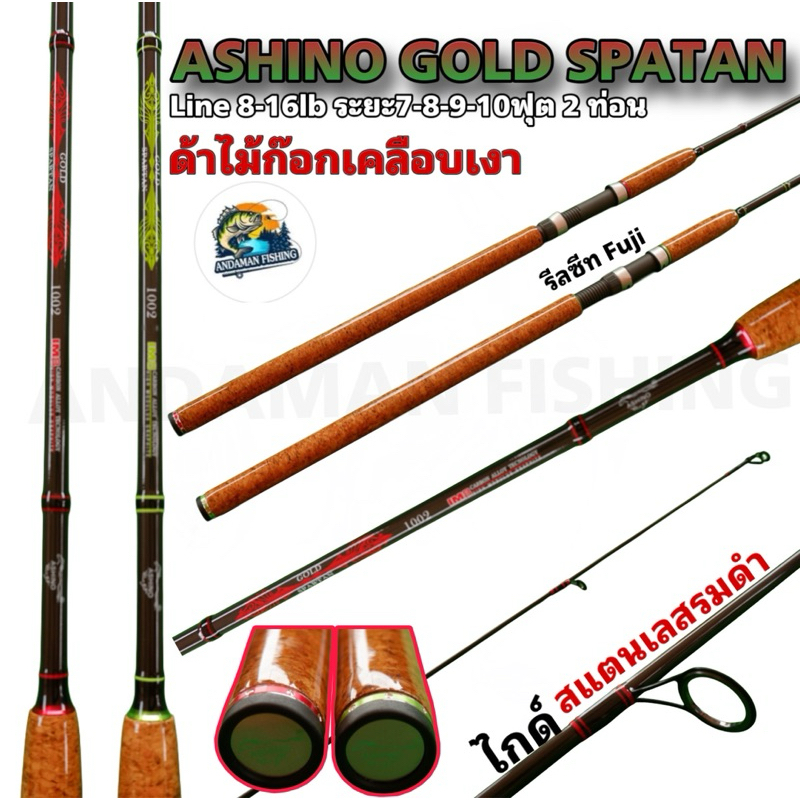 คันตกสปิ๋ว Ashino Gold Spartan IM8 คันเบ็ด อาชิโน่ โกลด์ สปาตัน