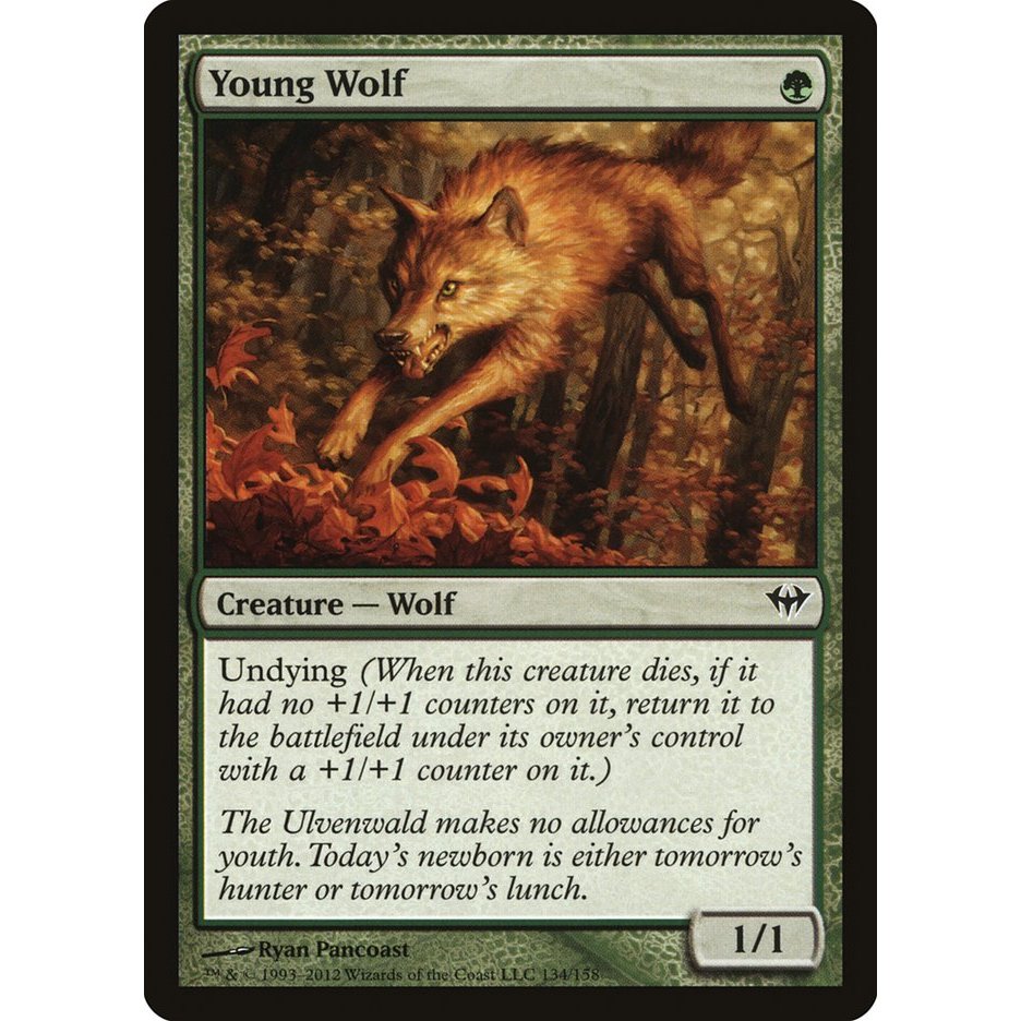 Young Wolf การ์ด Magic The Gathering ของแท้ จากชุด Dark Ascension