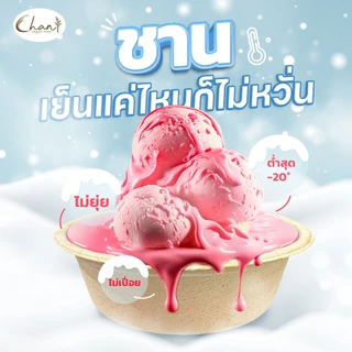 Chan(ชาน) จานชานอ้อยวงรี 9x6.5 นิ้ว รุ่น NP009 [800ชิ้น/ลัง] ย่อยสลายได้100% (สีธรรมชาติ)