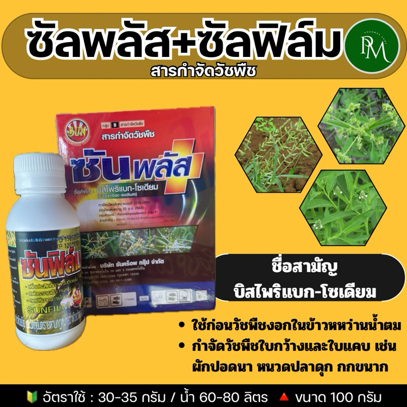 ✅ ซันพลัส+ซันฟิล์ม ขนาด 100 กรัม กำจัดวัชพืชใบแคบ(ลิเก กระดูกไก่ หญ้าแดง หญ้าปล้อง)