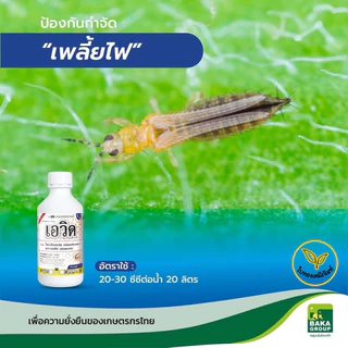 ขนาด 1 ลิตร เอวิด บาก้า ไทอะมีทอกแซม+อะบาเมกติน ป้องกันกำจัด เพลี้ยไฟ ไรแดง ไรขาว หนอนชอนใบ ‼️ มาตรฐานอเมริกา