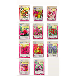 เมล็ด ดอกไม้ เบญจมาศ บานชื่น แพงพวย ฮอลลี่ฮ๊อค ซัลเวียช่อโปร…