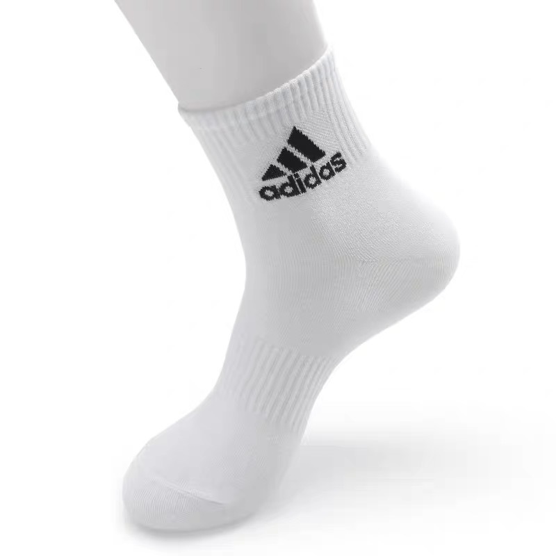 รูปภาพ 7