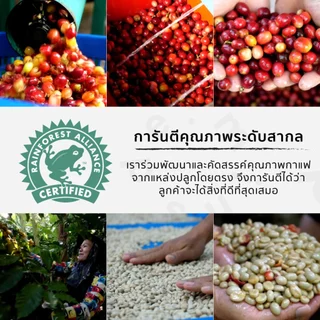 De:mins Coffee Roaster เมล็ดกาแฟคั่วกลาง AMERICAN ROAST อราบิก้า 100%