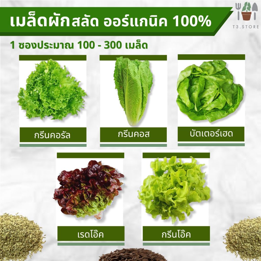 เมล็ดผักสลัด เมล็ดผัก เมล็ดสลัด ออร์แกนิค 100% 1ถุง ประมาณ 100-300 เมล็ด อัตรางอกสูง เมล็ดพันธุ์ผักสลัด ผักอินทรีย์
