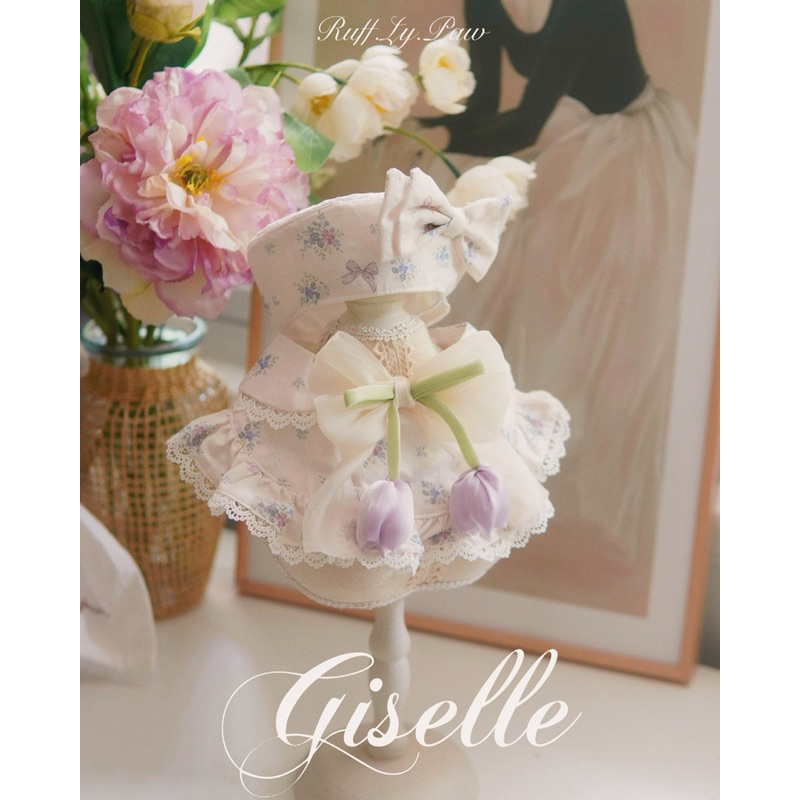 Giselle Pet Collar and Matching Beret