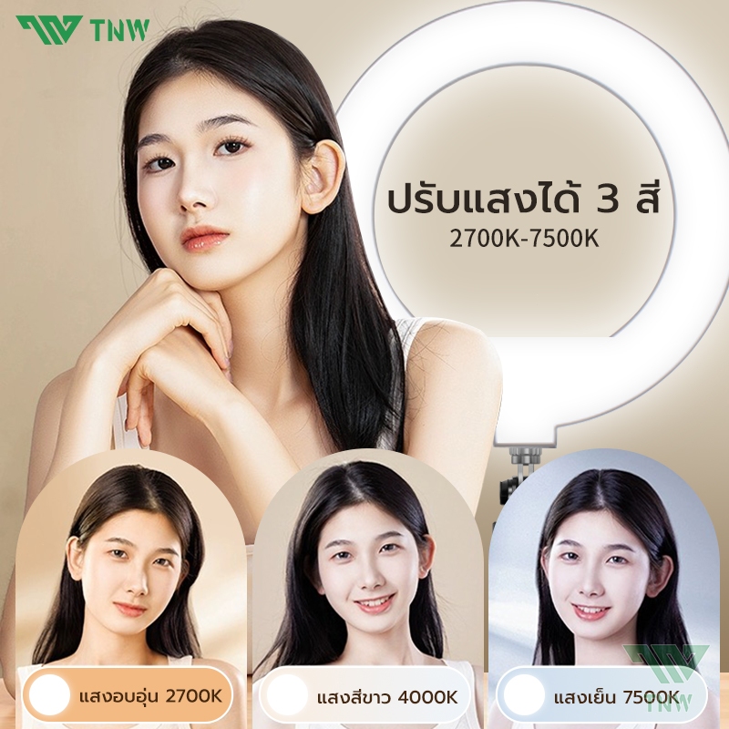 TNW 10นิ้ว LED ไฟวงแหวน ชุดไฟไลฟ์สด+พร้อมขาตั้ง2.1m ปรับได้3สี ปรับได้360°ทิศทา ไฟสตูดิโอ ขาตั้งกล้องมือถือ