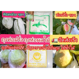 ถุงห่อฝรั่งถุงห่อผลไม้1แพ็ค🚛สินค้ามีพร้อมจัดส่ง👍ป้องกันแมลงวันทอง,ป้องกันUV,มีรูระบายน้ำก้นถุง📌ใช้สำหรับห่อฝรั่ง มะม่วง