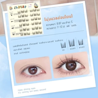 【จัดส่งจากประเทศไทย】ขนตาปลอม 3D แบบช่อ มีกาวในตัว แบบสามชิ้น ต่อขนตาธรรมชาติ ตาโต ติดทน เหมาะสำหรับมือใหม่ เทศกาลสาดน้ำ