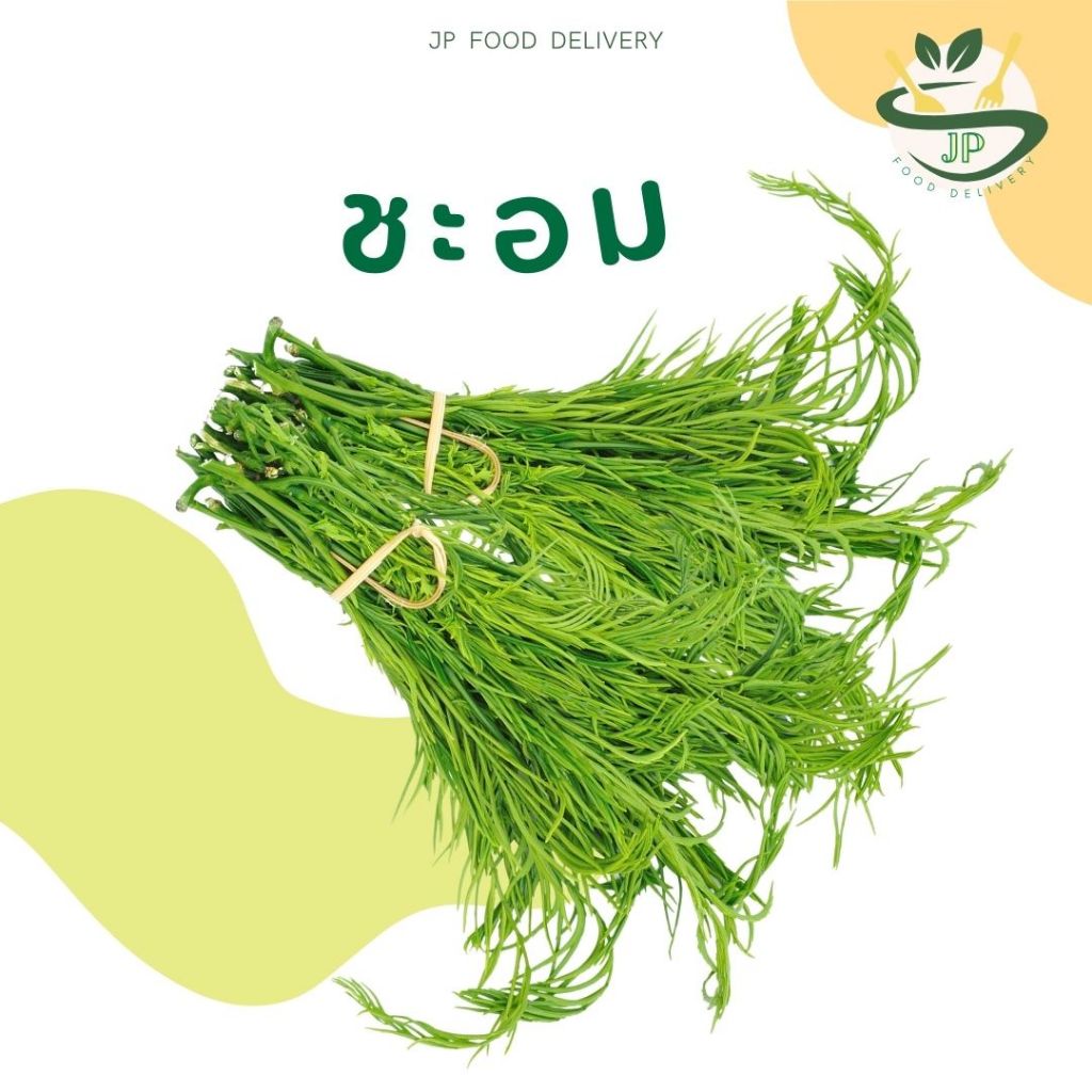 ผักสด ส่งวันต่อวัน l ชะอม สด น้ำหนัก 100-150 กรัม