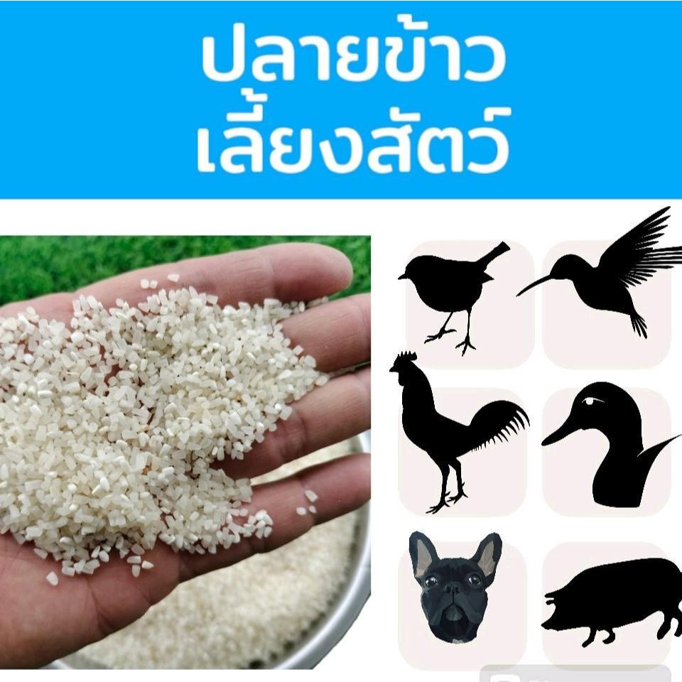 แบ่งขาย  15 กิโลกรัม ข้าวท่อน ปลายข้าว สำหรับเลี้ยงหมา ไก่ นก เป็ด สะอาด เกลี้ยง