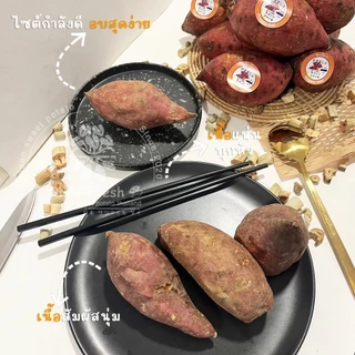 Oishi-Fresh มันหวานญี่ปุ่น 🇹🇭ปลูกในไทย🇹🇭สายพันธุ์ โอกินาว่า เนื้อส้ม หวานธรรมชาติ นุ่ม หอม 1 กิโลกรัมสินค้าเคลมได้