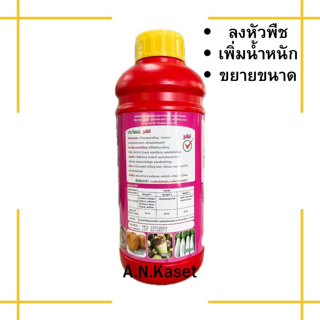 รูนีย์ (ธาตุอาหารรอง-เสริม) สำหรับพืช สารช่วยให้พืชลงหัว ขยายขนาดผลผลิต น้ำหนักดี ช่วยลดอาการบ้าใบของพืชลงหัว ราคา ถูกที่สุด ดีลบีเคเค แกลเลอรีภาพที่ 2