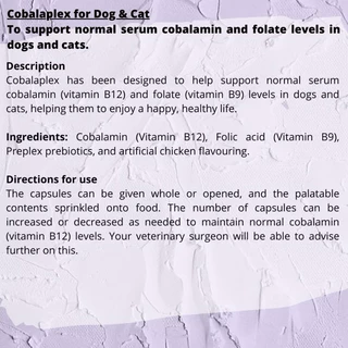 Synbiotic D-C for Dogs and Cats (50 capsules)