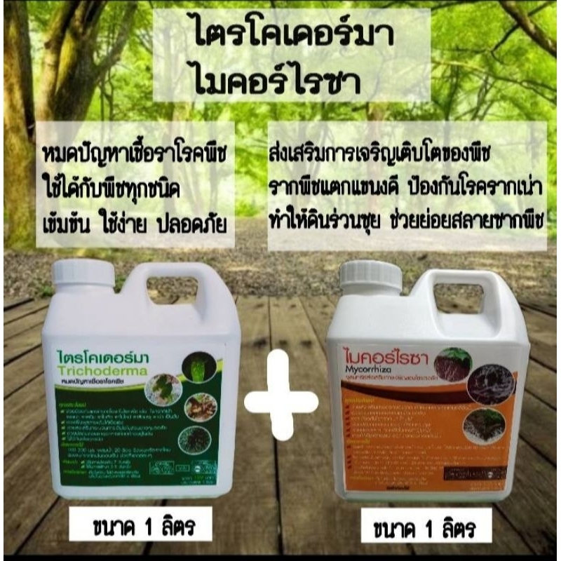 ไตรโคเดอร์มา ไมคอร์ไรซา ขนาด 1 ลิตร ป้องกันโรครากเน่า โคนเน่า เชื้อราโรคพืช  รากแตกแขนงดี