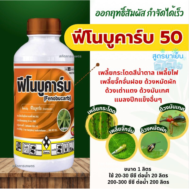 ฟีโนบูคาร์บ ยาเย็น ขนาด 1 ลิตร เพลี้ยกระโดดสีน้ำตาล เพลี้ยอ่อน เพลี้ยไฟ เพลี้ยจั๊กจั่นฝอย แมลงบั่ว ด้วยหมัดผัก ตราดีดีที