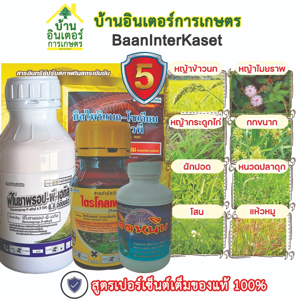 ชุดกำจัดหญ้า 5 พลัง บวก ข้าวไม่เหลือง ฆ่าหญ้าใบแคบและใบกว้าง ข้าวนก ลิเก ดอกขาว กก ผักบุ้ง ผักปอด