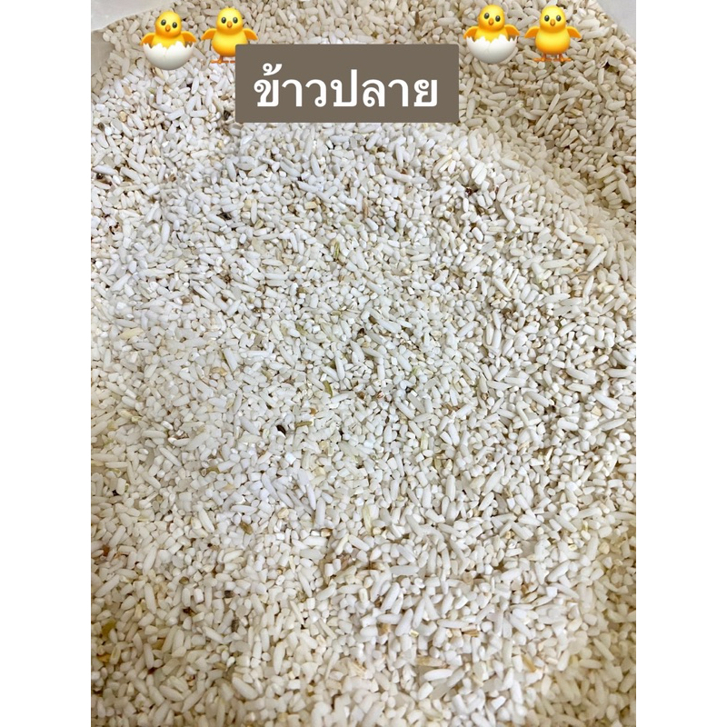 ข้าวปลาย ข้าวใหม่ ปลายข้าวหอมมะลิ (ขนาด 1 กิโล )