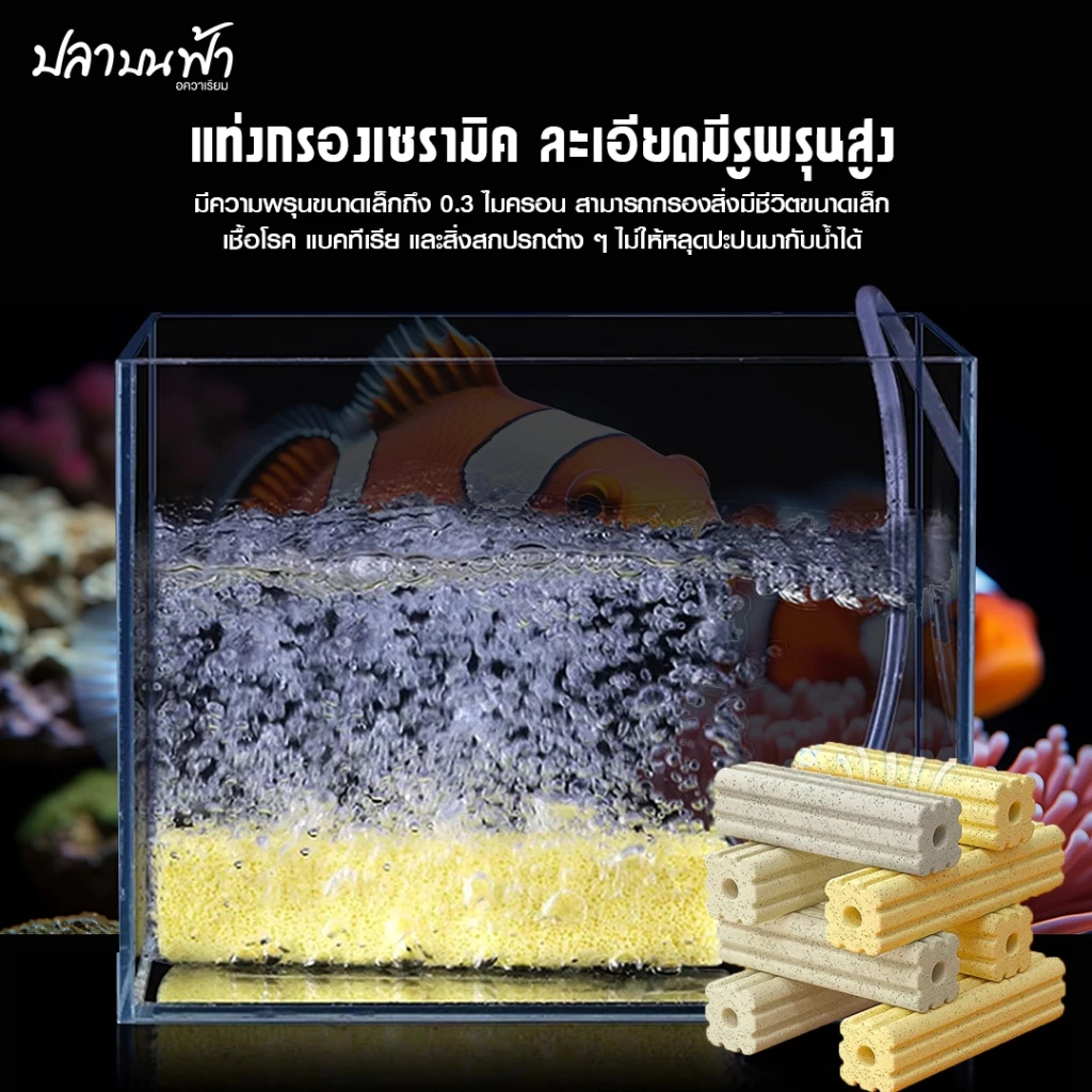 C-BAR ซีบาร์ วัสดุกรองตู้ปลา-บ่อปลา น้ำใส ลดของเสีย thumbnail 5