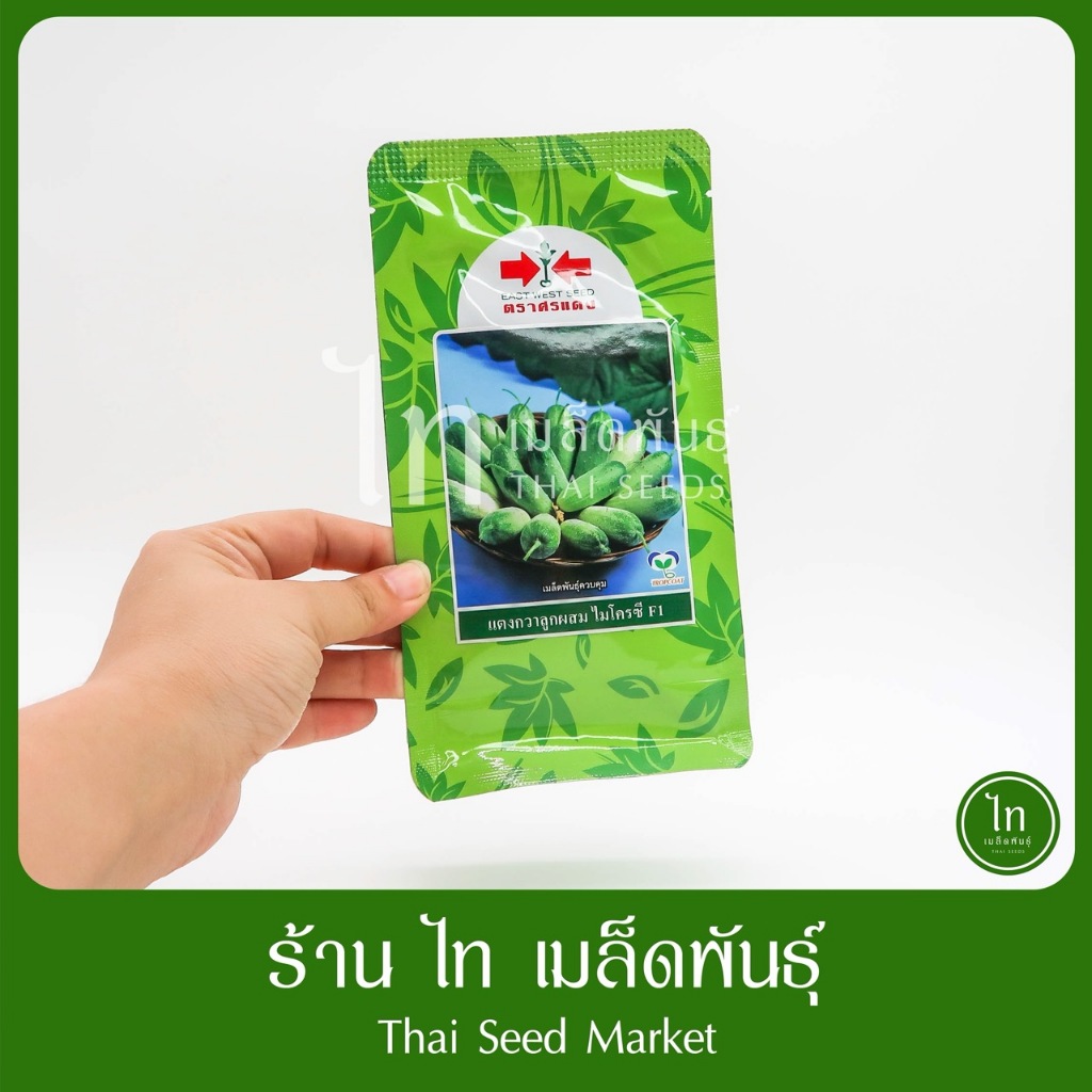 แตงกวา ไมโครซี เมล็ดพันธุ์ แตงกวา เมล็ดแตงกวา ลูกผสม ตรา ศรแดง บรรจุ 50/10กรัม (ล๊อตใหม่บรรจุใส่ถุง)