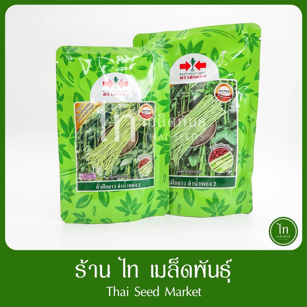ถั่วฝักยาว ลำน้ำพอง 2 เมล็ดพันธุ์ถั่วฝักยาว ตรา ศรแดง บรรจุ 500/100 กรัม (ล๊อตใหม่บรรจุใส่ถุง)